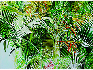 Palm Tree by Jane Ra