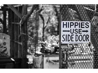 Hippies Use Side Door by Debra Casey
