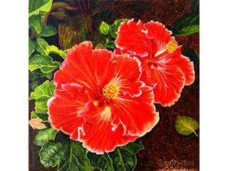 Two Paprika Hibiscus by Pati O'Neal