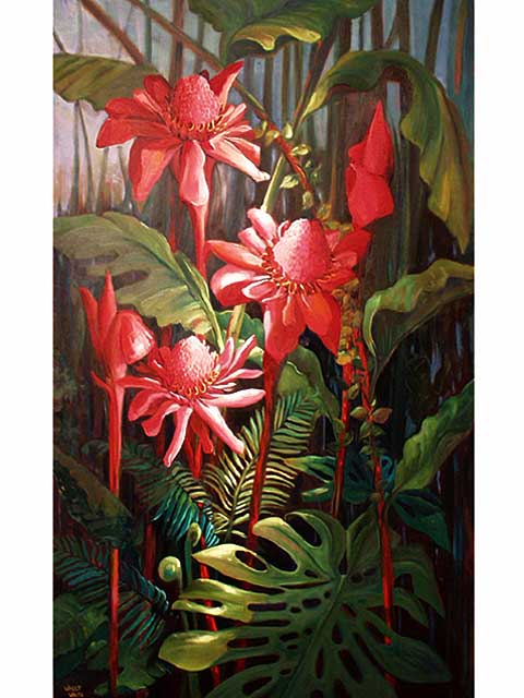Pink Torch Ginger by Wally White (1933-2018)