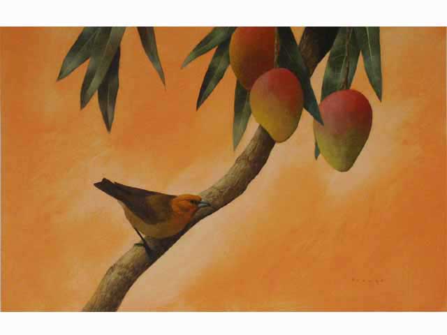 Koa Finch, Mango by Michael Furuya