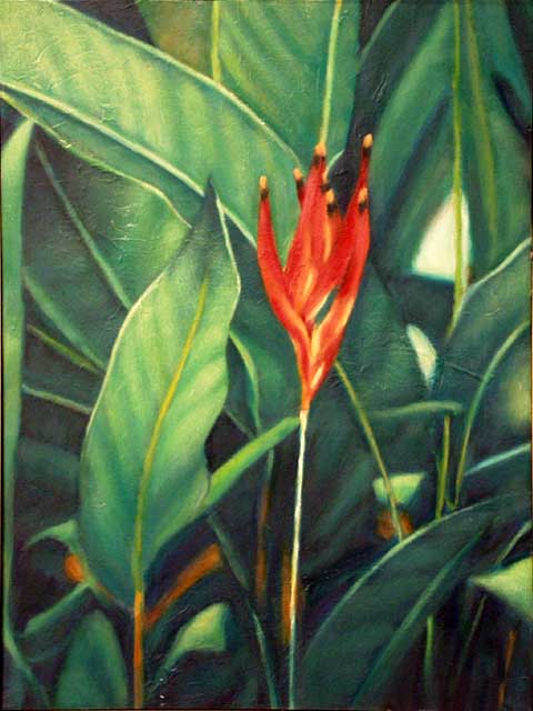 Heliconia by Tom Smith