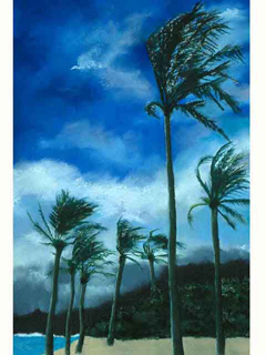 Windy Palms by Nance Lili McManus