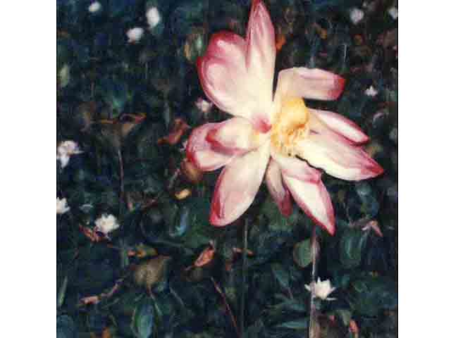 Lotus by Marcia Duff