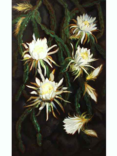 Night Blooming Cereus by Wally White (1933-2018)