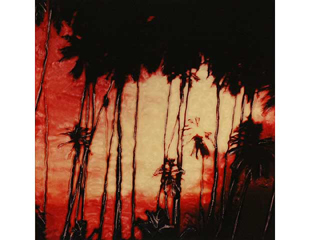 Orange Sunset in Palms by Marcia Duff