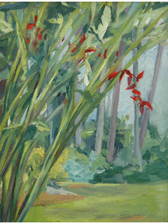 Foster Gardens Heliconia II by Sharon Sussman