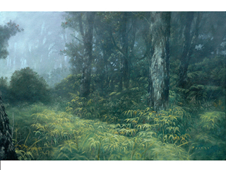 'Ohia'a Forest    by Michael Furuya