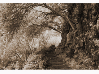 Kalaupapa Trail by Joan  Cooke