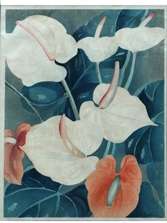 Anthuriums by Shirley Russell (1886-1985)