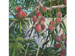 Backyard Mangoes by Louisa S. Cooper
