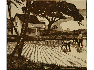 The Rice Planters by John Poole