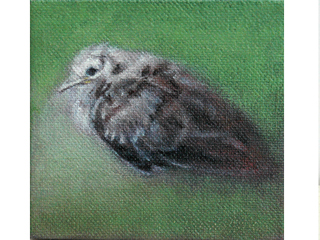 Untitled II (Baby Dove) by Sanit Khewhok