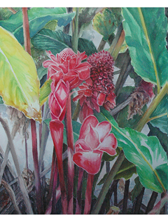 Torch Ginger Generations by Brian Aburano