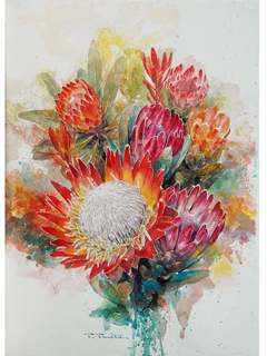 Protea by Tom Tomita