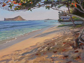 Waimanalo Sun & Sand by Lynne Boyer