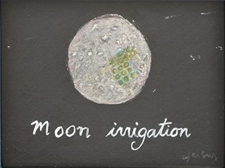 Moon Irrigation by Dorothy Faison
