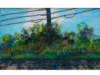 Thompson Road Power Lines, Mere Shadows of their Former Selves by Darrell Orwig