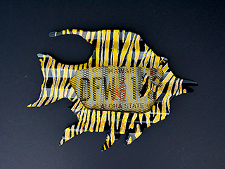 Hawaiian Lic Plate Fish by Bernard  Moriaz