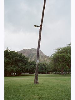 Lamp Post by Kanoa Zimmerman
