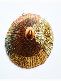 Opihi Shell Pendant #3 by Marshall Kary