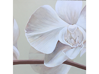 Floral Sketches - Orchid by Sandra Blazel