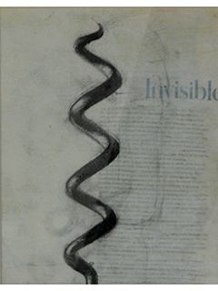 Invisible by Calvin Collins