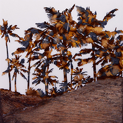 Honey Palms by Pati O'Neal