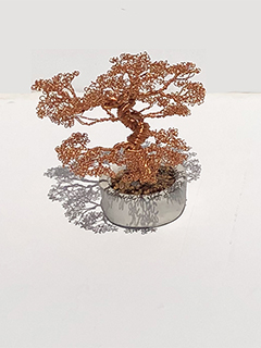 Bonsai - 1 Tree (a) by Matthew  Youngbird
