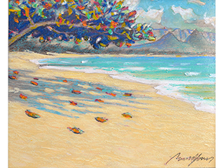 Waimanalo Shade by Russell Lowrey