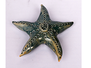 Mermaid Starfish by Noreen Watanabe