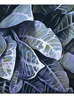 Evening Crotons by Sandra Blazel