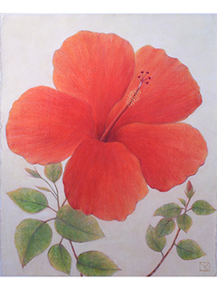 Red Hibiscus by Mari Kuramochi