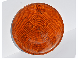 Wood Platter by Phillip Mouthrop