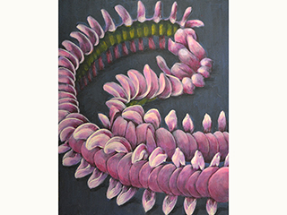 Maunaloa by Sandra Blazel