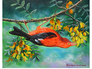 Hawaii Forest Bird (I'iwi) by Esperance Rakotonirina