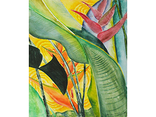 Heliconia Echoes by Paul T. Nagano