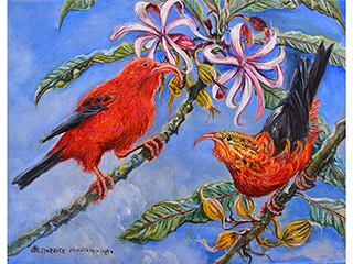 I'iwi Hawaii Birds by Esperance Rakotonirina