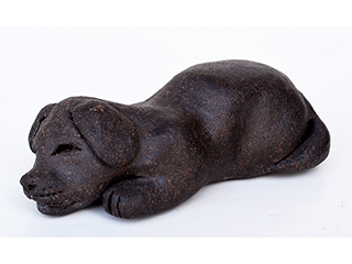 Sleeping Dog by Noreen Watanabe