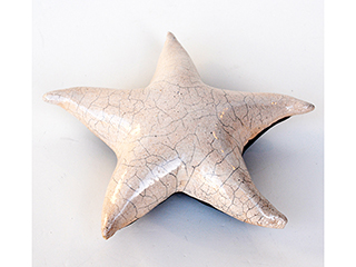 Hanging Starfish by Noreen Watanabe