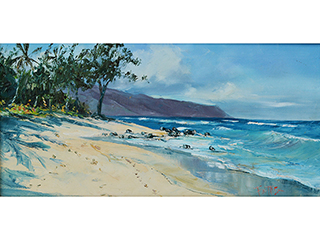 Chun's Reef to Ka'ena Point  by Beverly Fettig