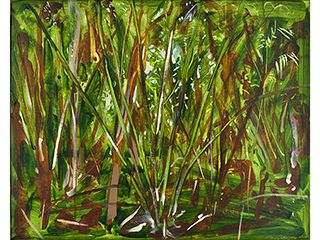 Fern Forrest by Noreen Naughton
