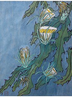 Night-Blooming Cereus by Naty Hopewell