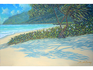 Pounder Beach 