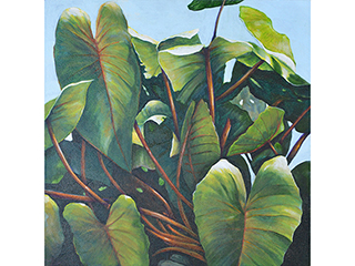 Kalo #2 by Sandra Blazel