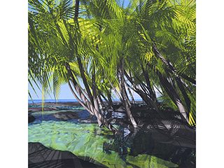 Kona Shoreline Study #116 by Stephen Yuen