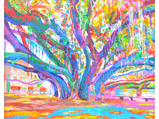 The Lahaina Banyan by David  Friedman (1941-2024)