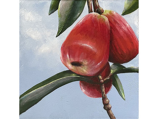 Mountain Apple by Sandra Blazel