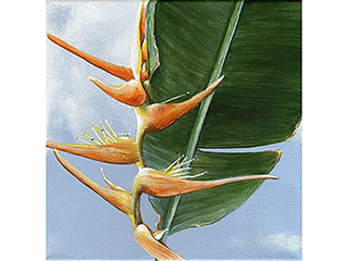 Orange Heleconia by Sandra Blazel