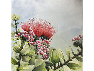 Ohia Lehua by Sandra Blazel